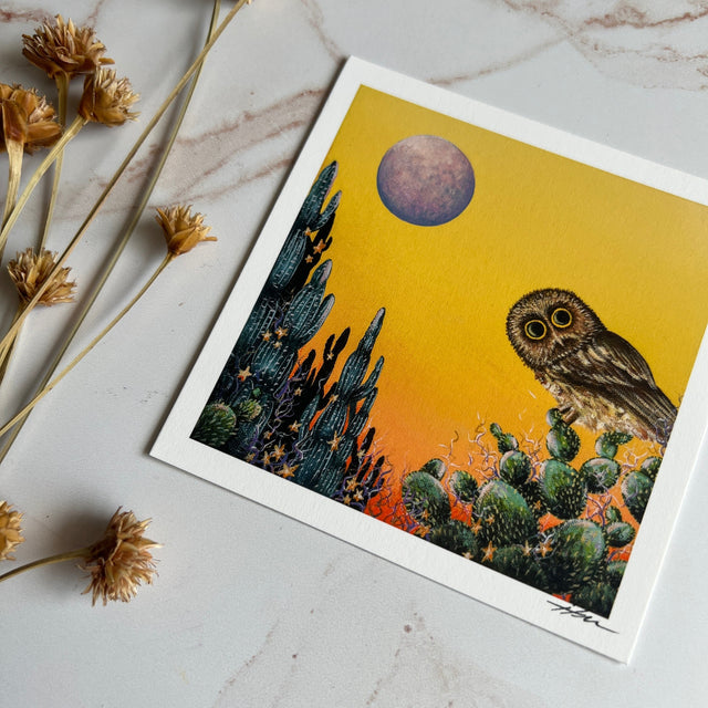 "Saw-Whet and the Desert Moon" mini print