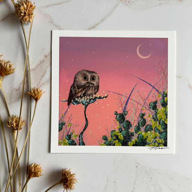 "Saw-Whet and the Pink Sky", mini print