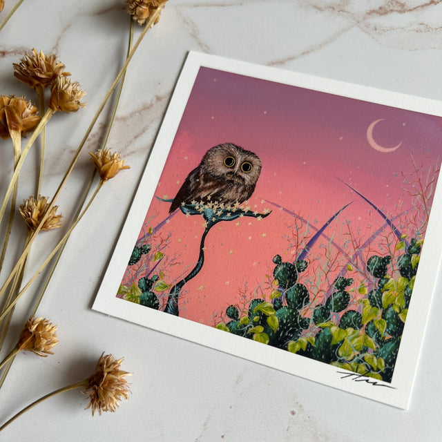 "Saw-Whet and the Pink Sky", mini print