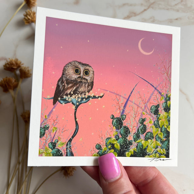 "Saw-Whet and the Pink Sky", mini print