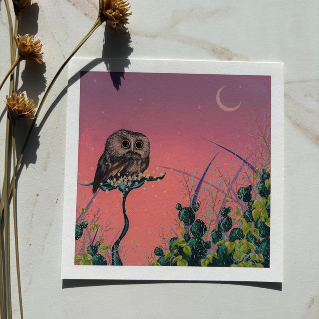 "Saw-Whet and the Pink Sky", mini print