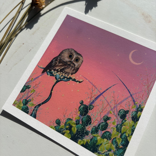 "Saw-Whet and the Pink Sky", mini print