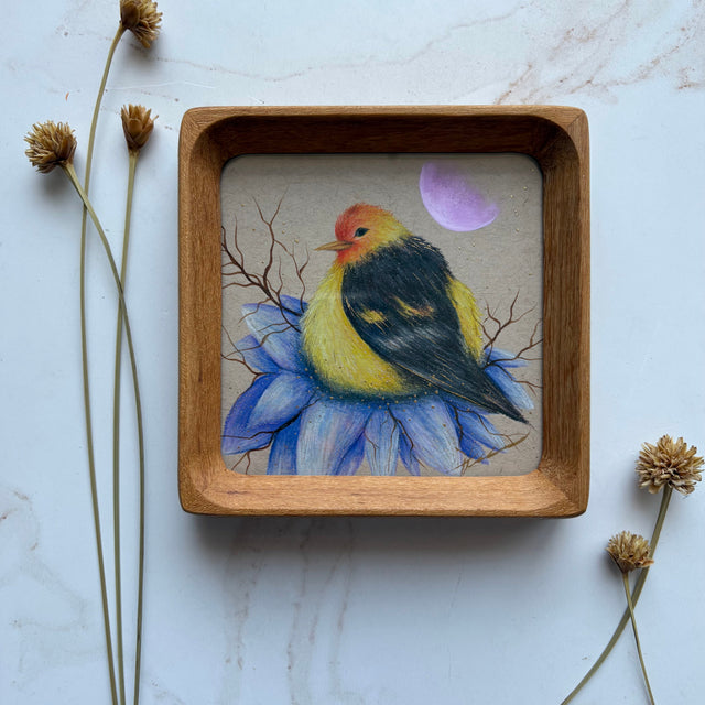 "Western Tanager"