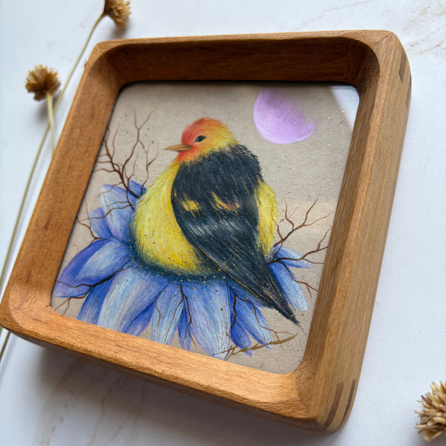 "Western Tanager"