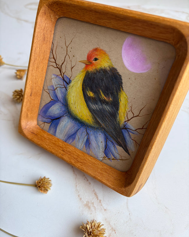 "Western Tanager"