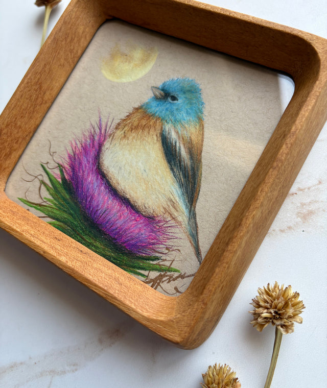 "Lazuli Bunting"