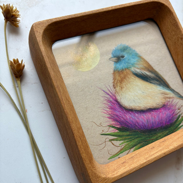 "Lazuli Bunting"