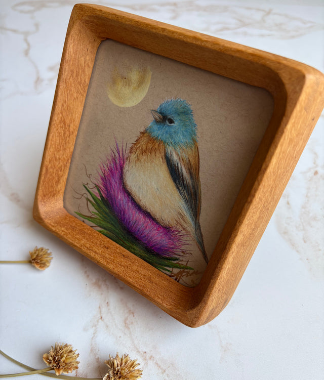 "Lazuli Bunting"
