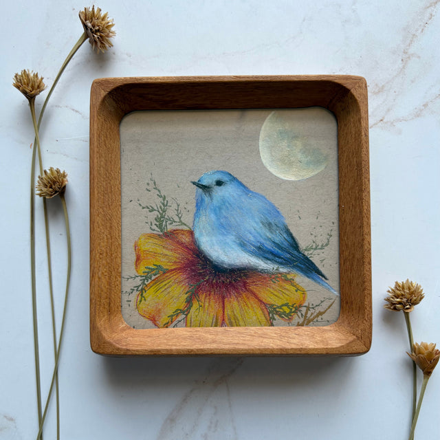 "Mountain Bluebird"