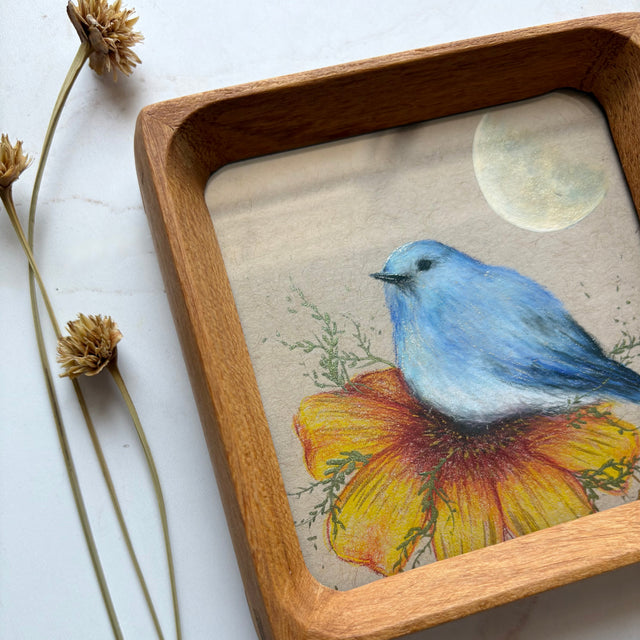 "Mountain Bluebird"