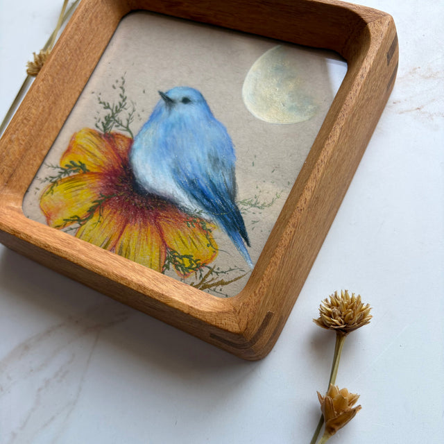 "Mountain Bluebird"