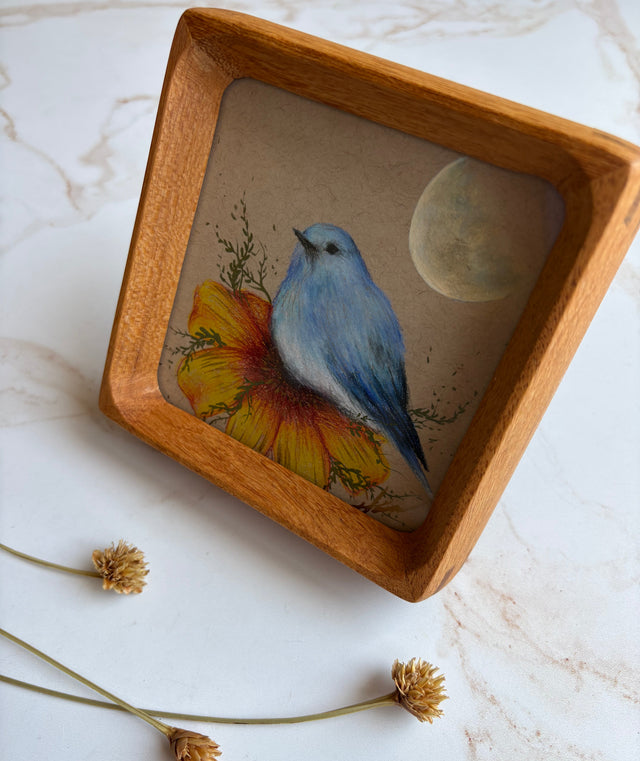 "Mountain Bluebird"