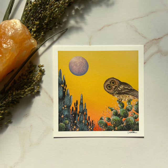 "Saw-Whet and the Desert Moon" mini print