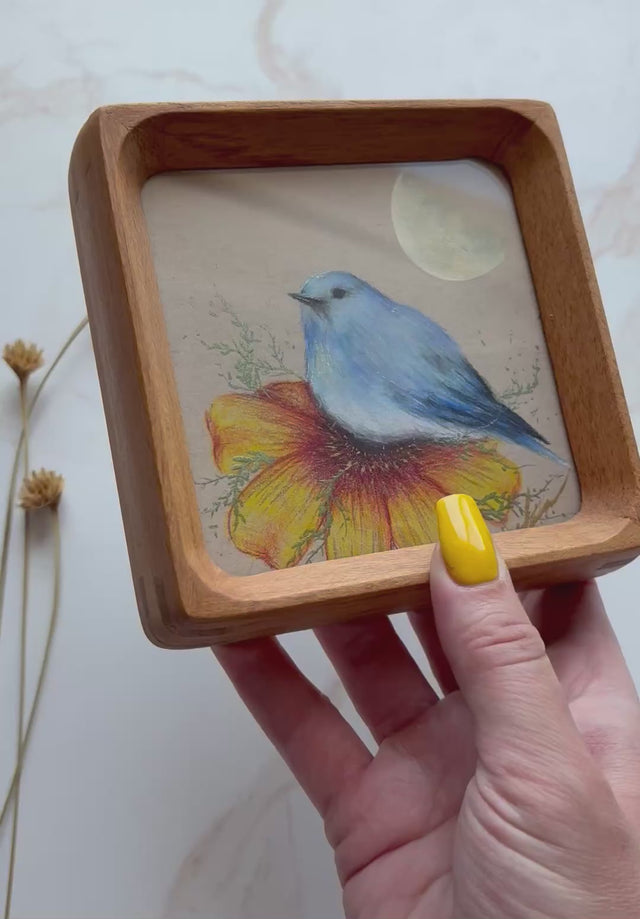 "Mountain Bluebird"