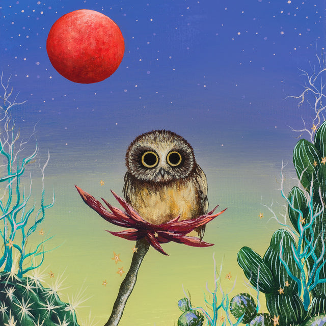 Original art, acrylic painting, "Saw-Whet and the Blood Orange Super Moon"