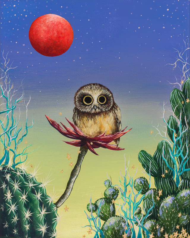 "Saw-Whet and the Blood Orange Super Moon", print