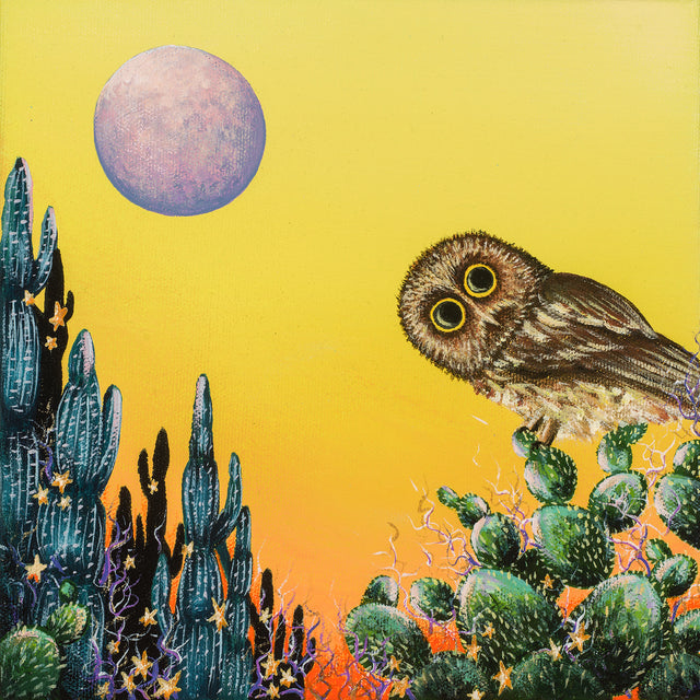 Original art, acrylic painting, "Saw-Whet and the Desert Moon"