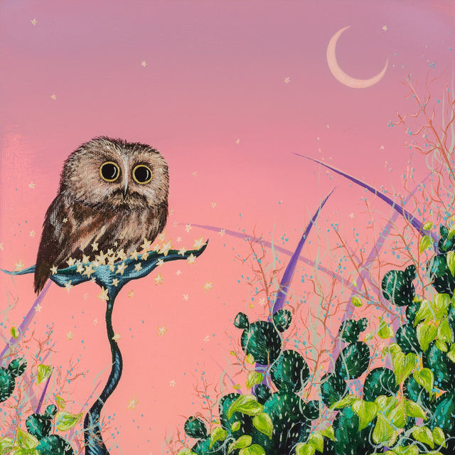 "Saw-Whet and the Pink Sky", print